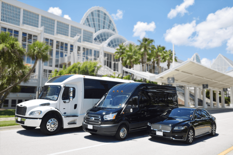 limousine fleet